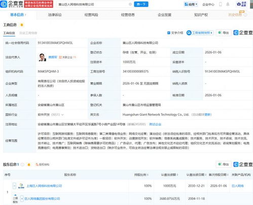巨人網(wǎng)絡(luò)成立新公司，深化布局互聯(lián)網(wǎng)游戲與信息服務(wù)業(yè)務(wù)